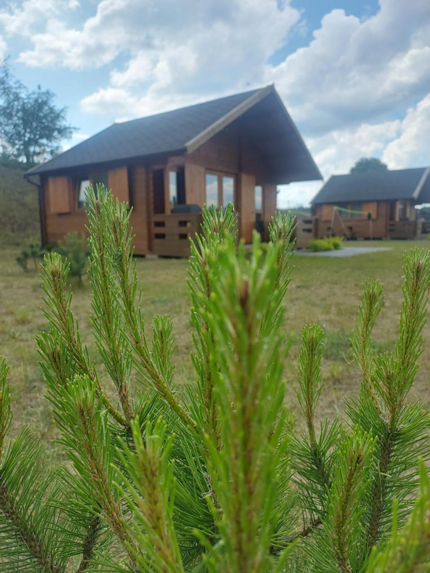 Kaszubskie Laki Domek Nr 4 Lakie Luaran gambar